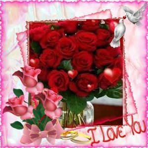 Meet your Posher, Peggy